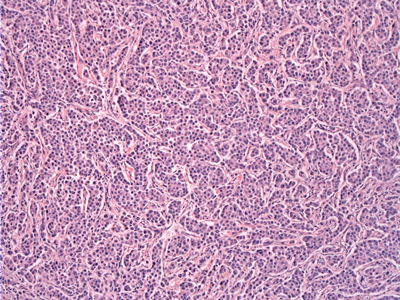 Path Image